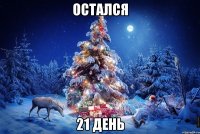 остался 21 день