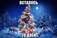 осталось 20 дней