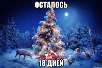 осталось 18 дней