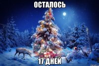 осталось 17 дней