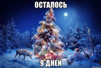 осталось 9 дней