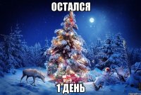 остался 1 день