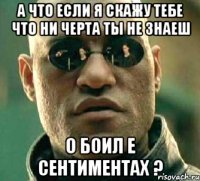 А что если я скажу тебе что ни черта ты не знаеш о боил е сентиментах ?