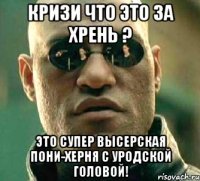 Кризи что это за хрень ? Это супер высерская пони-херня с уродской головой!