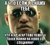 а что если я скажу тебе что агар-агар тоже лежит у твоей мамки на кухне со специями?