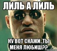 лиль а лиль ну вот скажи..ты меня любиш??