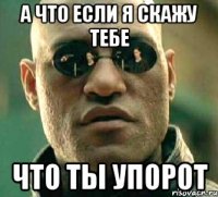 А что если я скажу тебе Что ты упорот