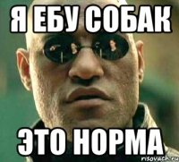 Я ебу собак Это норма