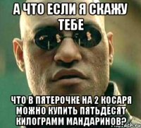 а что если я скажу тебе что в пятерочке на 2 косаря можно купить ПЯТЬДЕСЯТ КИЛОГРАММ МАНДАРИНОВ?