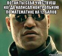 вотак ты себя чувствуеш когда написал контрольную по математике на 12 балов 