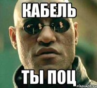 кабель ты поц