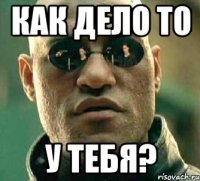 КАК ДЕЛО ТО У ТЕБЯ?