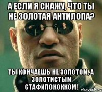 А если я скажу, что ты не золотая антилопа? Ты кончаешь не золотом, а золотистым стафилококком!