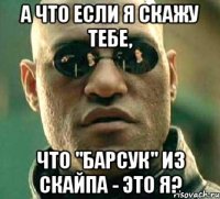 а что если я скажу тебе, что "барсук" из скайпа - это я?