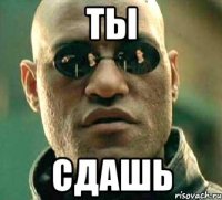 Ты Сдашь