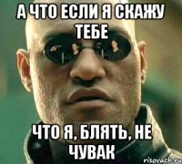 а что если я скажу тебе что я, блять, не чувак