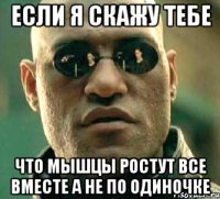 Если я скажу тебе что мышцы ростут все вместе а не по одиночке