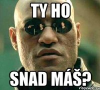 Ty ho snad máš?