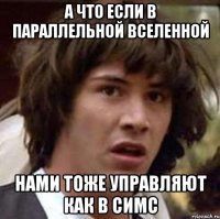 а что если в параллельной вселенной нами тоже управляют как в симс