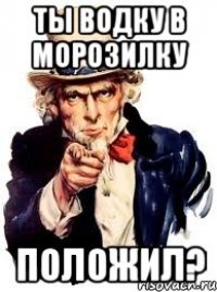 Ты Водку В МОРОЗИЛКУ Положил?