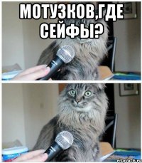 Мотузков,где сейфы? 