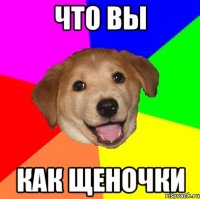 Что вы как щеночки