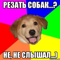 Резать собак...? не, не слышал...)