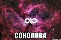  Соколова