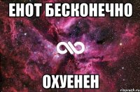 Енот бесконечно ОХУЕНЕН