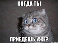 КОГДА ТЫ ПРИЕДЕШЬ УЖЕ?