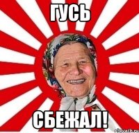 гусь сбежал!