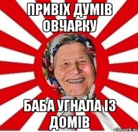 привіх думів овчарку баба угнала із домів