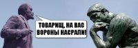 Товарищ, на вас вороны насрали!