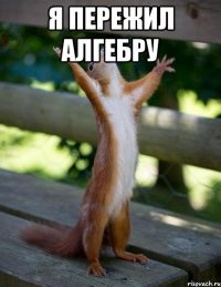 я пережил алгебру 