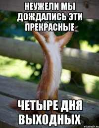 Неужели мы дождались эти прекрасные четыре дня выходных
