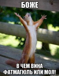 Боже В чем вина Фатмагюль или моя!