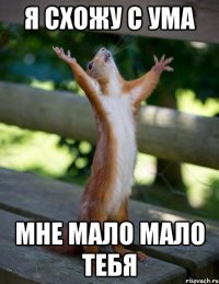 Я схожу с ума мне мало мало тебя