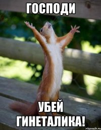 Господи Убей Гинеталика!