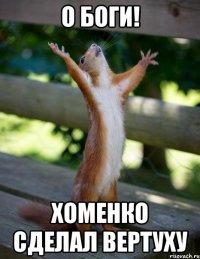 О Боги! Хоменко сделал вертуху