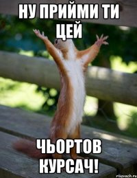 ну прийми ти цей чьортов курсач!