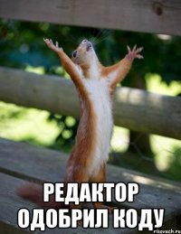  Редактор одобрил коду