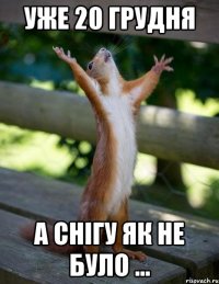 уже 20 грудня а снігу як не було ...