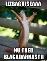 Uzbacoiseaaa Nu treb blagadarnastii