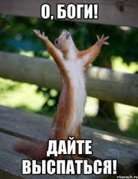 О, БОГИ! ДАЙТЕ ВЫСПАТЬСЯ!