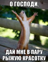 О Господи, дай мне в пару рыжую красотку