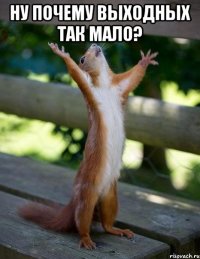ну почему выходных так мало? 