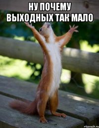 ну почему выходных так мало 