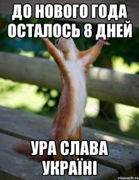 До нового года осталось 8 дней ура слава Україні
