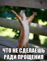  что не сделаешь ради прощения