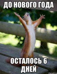 до нового года осталось 6 дней